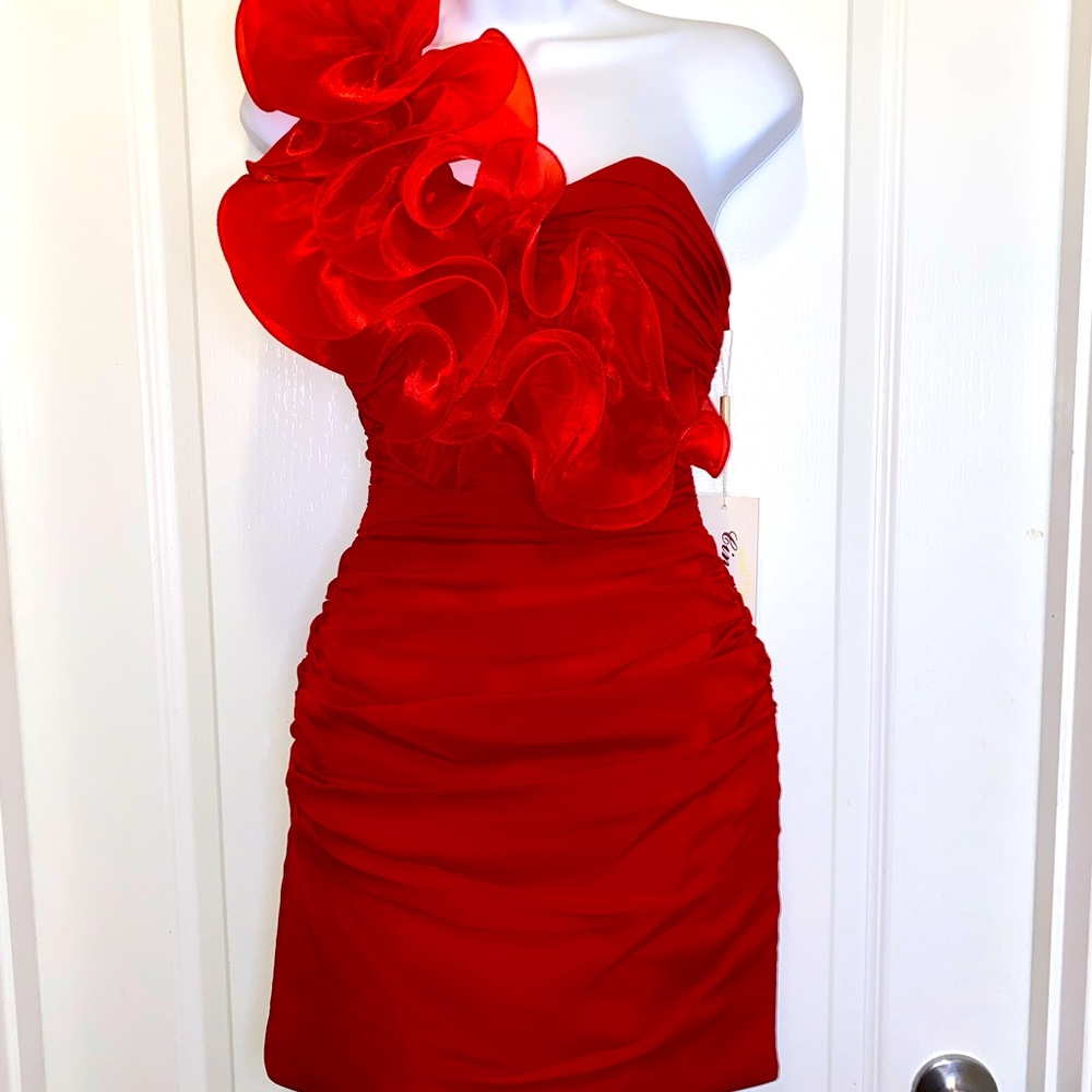 Cinderella Devine Red Formal Dress for  Prom Bridesmaid Sweet 16 Mardi Gras